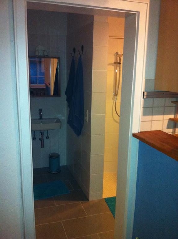 Ferienwohnung Freiburg Herdern Oda fotoğraf